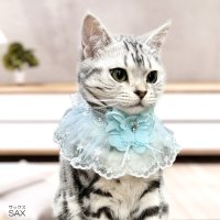 SneepDip/スニープディップ SneepDip 【p033】フラワー レーススタイ（ペット用）【返品不可商品】/508337041