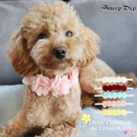 SneepDip/スニープディップ SneepDip 【p015】2WAYフラワーシフォンアクセ（ペット用）【返品不可商品】/508337351