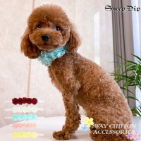 SneepDip/スニープディップ SneepDip 【p015】2WAYフラワーシフォンアクセ（ペット用）【返品不可商品】/508337351