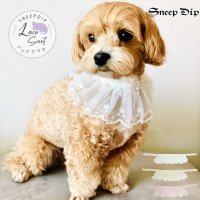SneepDip/スニープディップ SneepDip 【p017】レーススタイ（ペット用）【返品不可商品】/508337353