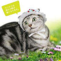 SneepDip/スニープディップ SneepDip 【p6】レースキャップ（小型犬用） 【返品不可商品】【返品不可商品】/508337358