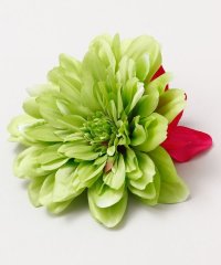 Maunaloa/マウナロア Maunaloa ダリア＆シンビクリップ/508350376