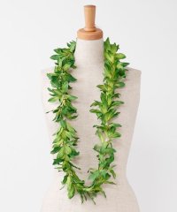Maunaloa/マウナロア Maunaloa モハラスパイダーリリーレイ/508350381