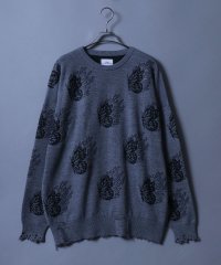 ANPAS/アンパス ANPAS ジャガード バタフライ デザインニット ステッチ ダメージニット/508350735