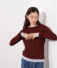 N Natural Beauty Basic/シアーレイヤードトップス/508354182