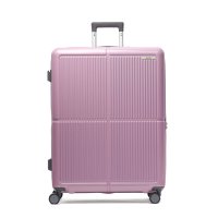 ACE/エース ACE スーツケース キャスター 軽量 拡張 ストッパー エキスパンダブル 旅行 キャリーバッグ 8泊 9泊 10泊 11泊 ダブルキャスター TSダイ/508356683