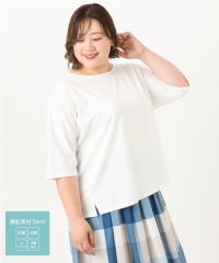 eur3/【大きいサイズ/抗菌・消臭】コットンラグランスリーブトップス/508361605