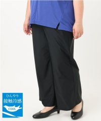 eur3/【大きいサイズ/接触冷感】ナイロンストレッチワイドパンツ/508361606