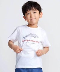 BeBe/【 速乾 】【神戸須磨シーワールド×BeBe】シャチ・イルカ 図鑑風半袖Tシャツ/508343533