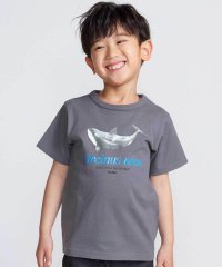 BeBe/【 速乾 】【神戸須磨シーワールド×BeBe】シャチ・イルカ 図鑑風半袖Tシャツ/508343533