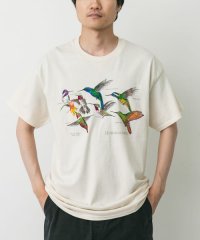 URBAN RESEARCH DOORS/LIBERTY GRAPHICS　Hummingbirds/508367358