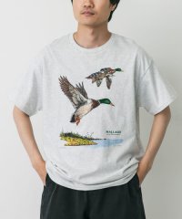 URBAN RESEARCH DOORS/LIBERTY GRAPHICS　Mallards/508367375