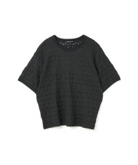 mizuiro ind/mizuiro ind ストレッチレースクルーネックTシャツ/508372840