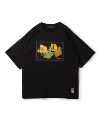CABaN /CABaN スビンコットン BIRDプリントTシャツ/508378995