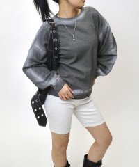 PAL OUTLET/【WHO'S WHO gallery】裏毛ラインスプレークルー/508380642