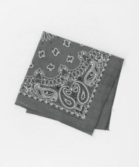 BEAUTY&YOUTH UNITED ARROWS/＜Hav－A－Hank＞ ペイズリー バンダナ/508362241