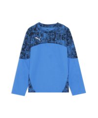 PUMA/ボーイズ サッカー INDIVIFTBL プロ 長袖 シャツ 120－160cm/508384443