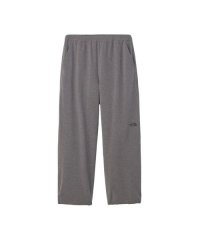 THE NORTH FACE/ザ・ノース・フェイス THE NORTH FACE VAGRANT LONG PANT/508383752