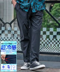 SB Select/シルバーバレットセレクト SB Select TIMBRE POSTE アイスパンツ/508385904