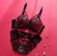 palissee/パリーゼ Palissee 【脇高】【EFカップ】ヴェルヴェットアイヴィブラ＆バックレースショーツ【返品不可商品】/508386646