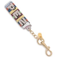 ANYA HINDMARCH/アニヤハインドマーチ Anya Hindmarch キーホルダー ペッツ マルチカラー メンズ レディース ユニセックス ANYA HINDMARCH 5050/508386763