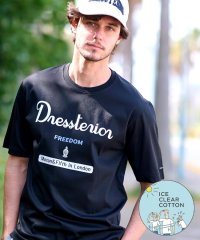 DRESSTERIOR/ドレステリア DRESSTERIOR 【接触冷感／抗菌防臭／消臭】ICE CLEAR COTTON ロゴT/508387565