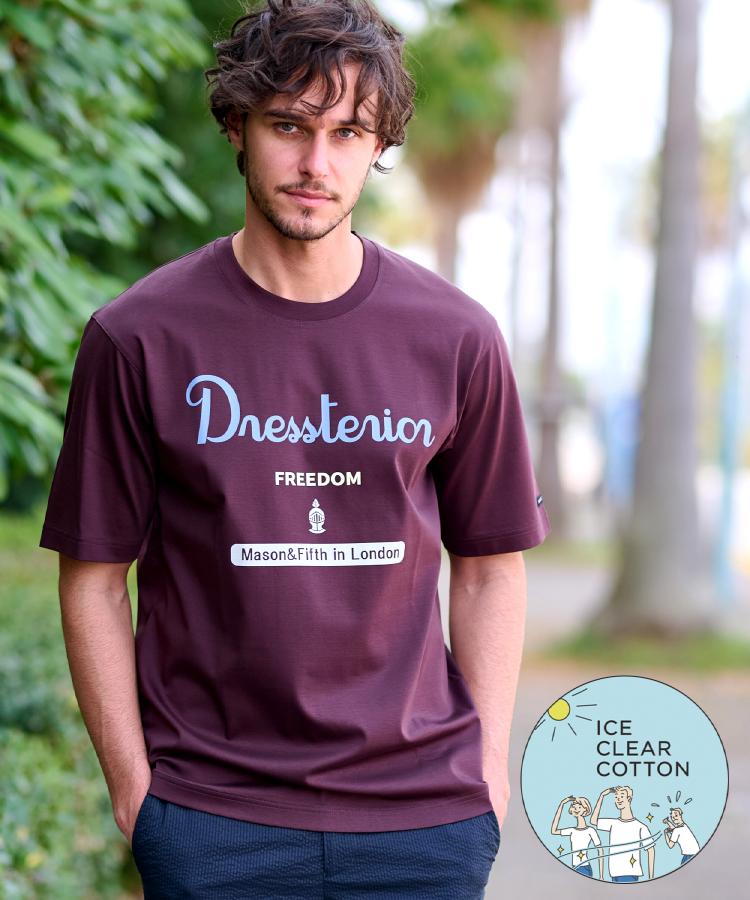 DRESSTERIOR ICE CLEAR COTTON レイヤードT DRESSTERIOR tシャツ 「干場義雅×DRESSTERIOR」ICE CLEAR COTTON