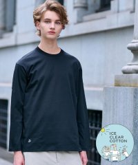DRESSTERIOR/ドレステリア DRESSTERIOR 【接触冷感／抗菌防臭／消臭】ICE CLEAR COTTON クルーネックロンT/508387567