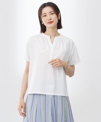 J.PRESS LADIES（LARGE SIZE）/【洗える・接触冷感】プレーティングジャージー バンドカラー カットソー/508389108