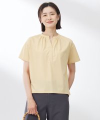 J.PRESS LADIES（LARGE SIZE）/【洗える・接触冷感】プレーティングジャージー バンドカラー カットソー/508389108