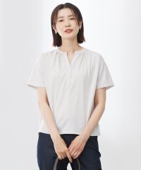 J.PRESS LADIES（LARGE SIZE）/【洗える・接触冷感】プレーティングジャージー バンドカラー カットソー/508389108