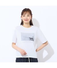 Liliane Burty ECLAT/【洗える・吸水速乾】綿100％ネコプリントTシャツ/508390267