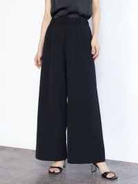 FENNEL/フェンネル FENNEL ストレッチツイルワイドパンツ/508390327