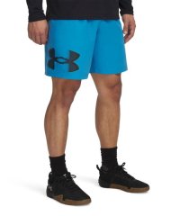 UNDER ARMOUR/アンダーアーマー UNDER ARMOUR UA Tech Woven Graphic Shorts/508390388