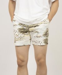 LEVI’S OUTLET/リーバイス / Levi's XX AUTH RLX SHORTS II COASTAL SCENIC EGR/508345028