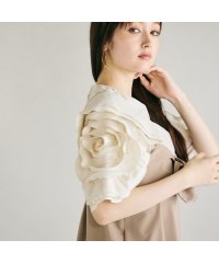 Audie a Muses/ビッグローズスリーブブラウス/508393815