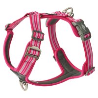 DOG Copenhagen/DOG Copenhagen ドッグコペンハーゲン ハーネス 犬 コンフォートウォークエアハーネス Lサイズ 大型犬 抜けない 胴輪 歩行補助【返品不可商品】/508398449