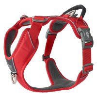 DOG Copenhagen/DOG Copenhagen ドッグコペンハーゲン ハーネス 犬 コンフォートウォークプロハーネス Sサイズ 小型犬 抜けない 胴輪 歩行補助【返品不可商品】/508398454