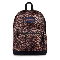 JANSPORT/ジャンスポーツ JANSPORT JANSPORT RIGHT PACK（ジャンスポーツ ライトパック）/508400802