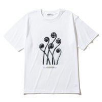 Kinetics/キネティクス Kinetics アジアンタム ペダツム（Adiantum pedatum）/508402005