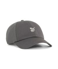 PUMA/ユニセックス ゴルフ PUMA x Reigning Champ 6 ダッドキャップ/508402072