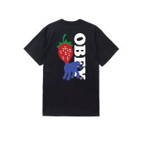 OBEY/オベイ OBEY OBEY OBEY STRAWBERRY（オベイ ストロベリー）/508405202