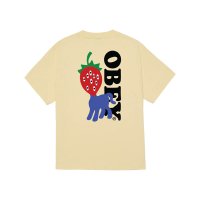 OBEY/オベイ OBEY OBEY OBEY STRAWBERRY（オベイ ストロベリー）/508405202