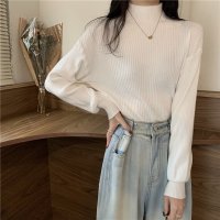 Carpe diem/カルペディエム Carpe diem リブニット パフスリーブ ハイネック 長袖 袖ボリューム 薄手ニット ゆったり パフ袖 パワーショルダー 長袖 tops /508407474
