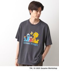 THE SHOP TK(Men)/ザ ショップ ティーケー(メンズ) THE SHOP TK(Men) セサミストリートTシャツ／親子リンク/508406824