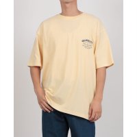 QUIKSILVER/クイックシルバー QUIKSILVER BRICKS AND MORTAR ST/508407272