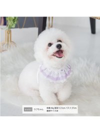 QUEENS COURT/クイーンズコート QUEENS COURT レーススタイ(犬用） 【返品不可商品】/507082930
