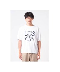 Levi's/LOCKWOOD PRACTICE Tシャツ/508399707
