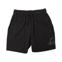 QUIKSILVER/クイックシルバー QUIKSILVER MW STANDARD SHORTS Y/508423727