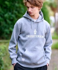 DRESSTERIOR/ドレステリア DRESSTERIOR ストレッチポンチ フーディ/508425388